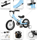 Balance Bike 2 in 1,The Dual Use of a Kids Balance Bike and Toddler Bike, for 2 3 4 5 6 7 Years Old -12 14 16 Inches with Training Theory, Brake, Pedal by TinyTreasures Baby Boutique