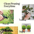 Ultra Sharp Pruning Shears Hedge Clipper – Cuts 3X Easier, Dual-Size Opening, Weak Hand Arthritis Clippers, Rust-Resistant Pruner, Effortlessly Cuts by GreenHaven Gardens
