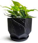 Large Marble Black Plant Pot with Drainage Holes and Saucers, Ceramic Pots for Indoor Outdoor Plants, 7 Inch Premium Hand Glazed Planters for Flower, Garden, Succulent, Nursery, Home Decor by GreenHaven Gardens