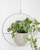 Boho White Metal Plant Hanger,Metal Wall and Ceiling Hanging Planter, Modern Planter, Mid Century Flower Pot Plant Holder, Minimalist Planter for Indoor Outdoor Home Decor… by GreenHaven Gardens