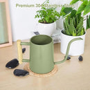 Watering Can Indoor Plants, 35 oz/1000 ml Metal Stainless Steel Watering Can Pot with Long Spout for Indoor House Plants Bonsai Outdoor Garden Flower Decorative (Sage Green) by GreenHaven Gardens