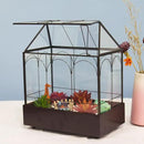 Large Tall Glass Plant Terrarium – House Succulent Terrarium Kit with Lip and Tray Glass Greenhouse Terrarium for Plant 9.5”X5.7”X11.4” by CozyNest Decor