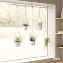 Umbra Triflora Hanging Planter for Window, Indoor Herb Garden, Set of 5, White/Brass by GreenHaven Gardens