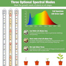 Plant Grow Light Strips, 240 LEDs Grow Lights for Indoor Plants Full Spectrum with Upgrade Timer 6/12/16 Hrs, 3 Spectrum Modes, Sunlike Grow Lamp for Seedlings Hydroponics Succulent, 2 Pack by GreenHaven Gardens