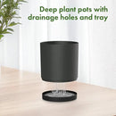 8/7/6 inch Plant Pots, 3 Set Cylinder Flower Pots for Outdoor Indoor Plants, Decorative Plastic Planters with Drainage Holes and Saucers for Garden House Plants, Black by GreenHaven Gardens
