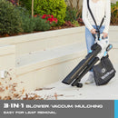 RB 40V 3-in-1 Cordless Vacuum Blower – Powerful Leaf Blower, Mulcher & Vacuum with 4.0Ah Battery & Fast Charger, Adjustable Handle, 12L Bag, 30:1 Mulching Ratio by GreenHaven Gardens