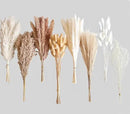 128 PCS Dried Pampas Grass Bouquet, Boho Table Decor, Bunny Tails Dried Flowers, Brown Pampas, White Pampas Grass for Weddings, Home Decor, Rustic Parties, and Baby Shower Decorations by CozyNest Decor