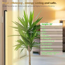 GLOWRIUM Standing Grow Light with Auto-Timer, 20W Vertical Grow Lights for Indoor Plants,3 Light Modes,134 LEDs,Full Spectrum Plant Lights for Wide Area Coverage in Indoor Plants (30 in) by GreenHaven Gardens