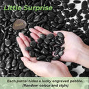 SIDONG 10 LB Black River Rocks, 0.3-0.5 Inches High Polished Pebbles for Indoor Plants, Aquarium Rocks Used in Fish Tank, Decorative Stones for Plants, Vases, Home Décor, Crafting, Garden Landscaping by GreenHaven Gardens