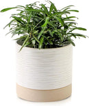 Nihow Ceramic Plant Pot: 6 Inch Planter with Drainage Hole & Saucer for Indoor & Outdoor Plants - Cylinder Round Flower Pot for Succulent/Herbs/Violets - Cream White & Brown by CozyNest Decor