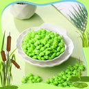 200 Pcs Mini Frog Garden Decor Green Frog Figurines Tiny Frogs Bulk Plastic Frogs Little Frogs for Fairy Moss Landscape DIY Craft Accessories Home Ornament Dollhouse(Luminous Style) by GreenHaven Gardens