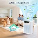 AMEIFU Air Purifiers for Home Large Room, Up to 2400 ft² with Smart WiFi APP Control, Hepa Air Purifier with Washable Filters, PM 2.5 Display for Bedroom, Pets Hair, Pollen, Dander, Smoke by CozyNest Decor