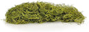 Premium Spanish Moss in Spring Green| Natural Preserved - Great Ground Cover - Filler for Potted Plants - by GARDENERA - 3 Quart Bag by GreenHaven Gardens