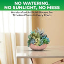 Premium Assorted Artificial Succulent Collection - Large Real Touch Artificial Cactus, Aloe Vera & Succulent Plants Artificial with Pots for Home Office Indoor (Artificial Coconut Shell - Pot) by CozyNest Decor