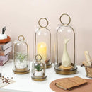 16" High Versatile Modern Metal Hurricane Lantern with Handmade Sturdy Glass Dome for Pillar Candle & Plants (Brass, 6.3"x16.5") by CozyNest Decor