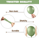 JOYIN 150 Pcs Sage Green Balloons, Different Sizes 18 12 10 5 Inch Sage Green Latex Balloon Arch Kit with Instruction for Birthday Party Graduation Wedding Holiday Decoration by TinyTreasures Baby Boutique