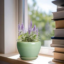 6 Inch Plant Pot - Ceramic Planter for Indoor Plants Round Planter Outdoor Plant Pot with Drainage Hole and Saucer Modern Flower Pot for Succulent Garden Green by GreenHaven Gardens