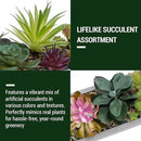 MyGift 15 Inch Mixed Color Assorted Artificial Succulent Plant Arrangement in Modern Gray Clay Planter Tray by CozyNest Decor