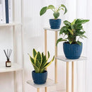 4/5/6 Inches Ceramic Plant Pots with Drainage Holes and Saucers, Round Flower Pots for Indoor Plant, Modern Flower Planters Set of 3 (Blue with Dot-Big Size) by CozyNest Decor