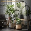 GLOWRIUM Grow Lights for Indoor Plants, 20W Full Spectrum LED Grow Light Floor Lamp with Stand Adjustable Height and Angle, Black Plant Light with 3/9/12H Grow Light Timer by GreenHaven Gardens