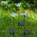 OxyLED Solar Garden Stake Lights 6 Pack Outdoor LED Figurine Lighting Color Changing Waterproof Solar Hummingbird Lights Butterfly Dragonfly for Patio Yard Pathway by GreenHaven Gardens