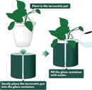 D'vine Dev 8 Inch Design Self Watering Planter for Indoor Plants, White Terracotta Pot with Teal Cylinder Glass Cup, 37-X-C-5 by GreenHaven Gardens
