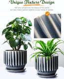 AISBUGUR Plant Pots 6 inch Ceramic Pots for Indoor Plants Set of 2 Flower Pots Unique Crackle Glaze Design Plant Pots with Drainage Hole and Saucer Come with Drainage Nets (Grey) by GreenHaven Gardens