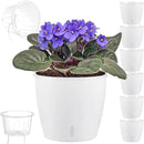 Self Watering Pots for Indoor Plants, 6-Pack 6.7'' Self Watering Planter with Drainage Holes, Small African Violet Pots with Water Indicator, Clear Wick Orchid Pot, White by CozyNest Decor