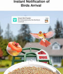 Bird Feeder with Camera-2K Live Video, Solar-Powered, Smart AI Identify Birds, 2L Food Capacity, Arrived Alerts, Bird Videos Storage, Mini Hummingbird Feeder for Watching Birds Outdoor by CozyNest Decor