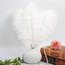 THARAHT 12pcs White Ostrich Feathers Natural Bulk 20-22Inch 50cm-55cm for Wedding Party Centerpieces Easter Gatsby and Home Decorate Ostrich Feathers by CozyNest Decor