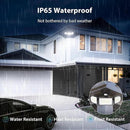 iMaihom 100W Motion Sensor LED Security Light, 9000LM Super Bright Flood Lights Outdoor, 6500K Exterior Floodlight, IP65 Waterproof, 3 Head Adjustable Motion Detector Light for Yard Garage (Brown) by GreenHaven Gardens