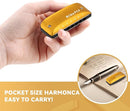 BabyFat 7 Hole Blues Mini Harmonica Set,Diatonic Harmonica with free lanyards,Gifts for Professional Players and Beginners,Easy-playing Musical Instrument(Key of G） by TinyTreasures Baby Boutique