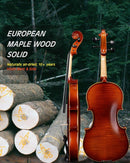 Aileen Solid Wood Violin 4/4 Full Size for Adults and Kids Age 12+, Fiddle Set for Beginners Student, Professional Violin Starter Kit with 12 Accessories (Selected European Solid Spruce and Maple) by TinyTreasures Baby Boutique