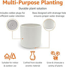 Amazon Basics Fluted Ceramic Round Planter, 10-Inch, White by GreenHaven Gardens