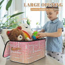 Custom Storage Basket with Name, Personalized Storage Bins with Zipper Lid, Foldable Fabric Storage Box Large capacity with Handle Pink Apricot by TinyTreasures Baby Boutique
