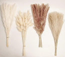 Natural Dried Pampas Grass Decor, 100 PCS Pampas Grass Contains White Bunny Tails Dried Flowers, Reed Grass Bouquet for Wedding Boho Flowers Home Table Decor, Rustic Farmhouse Party by CozyNest Decor