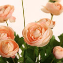 Artificial Silk Flowers Ranunculus Fake Flower 5 Pcs,Suitable for Core Decorations,Weddings,Homes,Artistic Decorations and Props (Cream Yellow) by CozyNest Decor