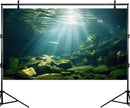 Under The Sea Aquarium Background Aquatic Plants Deep Sea Fish Tank Background Underwater Sunray Rock Terrarium Backgrounds Deep Ocean Floor Tropical Fish Tank Backgrounds 30x12in by GreenHaven Gardens