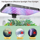 Hydroponics Growing System Herb Garden - HidroPony 15 Pods Indoor Gardening System with Grow Light, Stainless Steel Plants Germination Kit with Quiet Pump System, Gardening Gifts for Women by GreenHaven Gardens