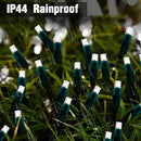 6Ftx4Ft LED Christmas Net Lights Green Wire,Connectable UL Certified Waterptoof Net Lights for Bushes Trees Shurb Garden Outdoor Christmas Decorations by GreenHaven Gardens