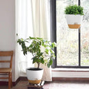 ZMTECH 12 Inch Hanging Planters for Indoor Outdoor Plants, 1 Pack Self Watering Hanging Plant Pots with Drainage Holes and Removable Saucer, Plastic Flower Hanging Pots with Watering Lip (White) by CozyNest Decor