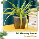 Self Watering Pots for Indoor Plants, 6-Pack 6.7'' Self Watering Planter with Drainage Holes, Small African Violet Pots with Water Indicator, Clear Wick Orchid Pot, Grey by CozyNest Decor