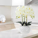 Orchid Artificial Flowers with White Vase Large Silk Faux Phalaenopsis Flowers for Dining Room Table Floral Centerpieces Indoor Decoration,White by CozyNest Decor