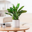 vancasso Ceramic Plant Pots, 3 Piece Planters for Indoor Plants, 4.25+5.25+6.25 Inch Flower Pots with Drainage, Plant Pots Indoor for Succulent, Pothos, Snake Plant and Money Tree, Etc (White) by GreenHaven Gardens