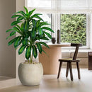 Artificial Dracaena Tree Artificial Silk Tree Faux Tree with White Tall Planter Fake Tropical Yucca Floor Plant (2, White Planter, 4 FT) by CozyNest Decor