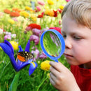 ESSENSON Outdoor Explorer Kit & Bug Catcher Kit with Binoculars, Compass, Magnifying Glass, Critter Case and Butterfly Net Great Toys Kids Gift for Boys & Girls Age 3-12 Year Old Camping Hiking by TinyTreasures Baby Boutique