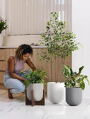 LE TAUCI 12 Inch Pots for Plants, Ceramic Large Planters for Indoor Plants, Indoor Plant Pots for Home Garden Patio Office, Planter Pots with Drainage Hole and Rubber Plug, White by GreenHaven Gardens