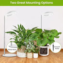 Grow Lights for Indoor Plants, 80 LEDs Full Spectrum Plant Lights for Indoor Growing with 2 Mounting Options, 6H 12H 16H Timer, 3 Spectrum Modes, 37 in Height Adjustable Grow Lamp, 2 Pack by GreenHaven Gardens