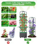 Tomato Planter Box with Trellis, 68.7" Tall Self Watering Tomato Cages for Climbing Vegetables Plant, Raised Garden Bed for Garden, Tomato Plant Support Pots for Patio Indoor Outdoor（68.7" ） by GreenHaven Gardens