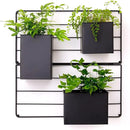 KASSELL Vertical Garden Wall Planter. Wall Mounted for Indoor Outdoor. All Metal Black Vertical Planter with No Assembly Required. Planter for Indoor Plants Flowers, Herbs, Succulents and Plants by CozyNest Decor